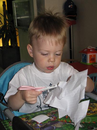 Imme 30 mei 2008 (1).JPG